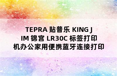 TEPRA 贴普乐 KING JIM 锦宫 LR30C 标签打印机办公家用便携蓝牙连接打印